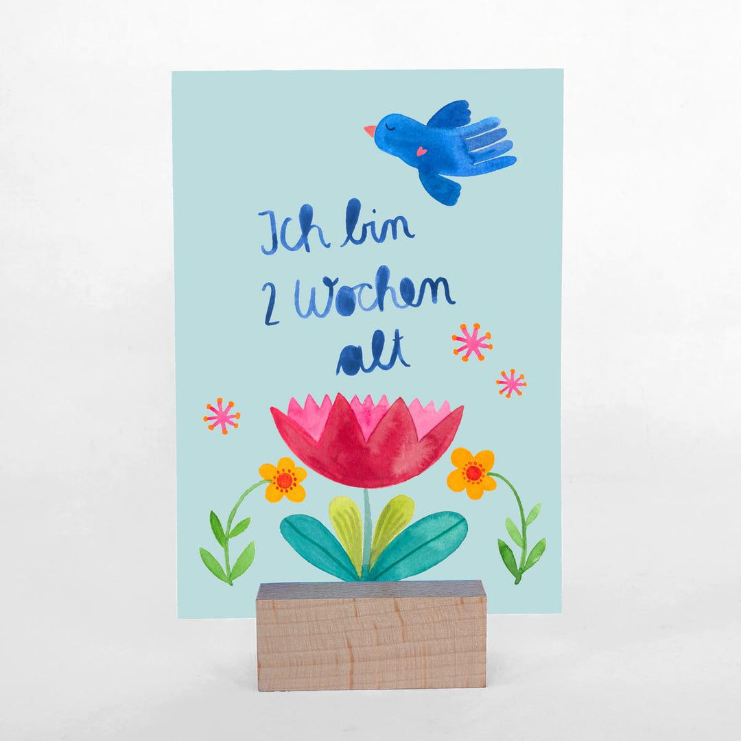 Meilensteinkarten *Baby*