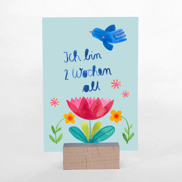 Meilensteinkarten *Baby*