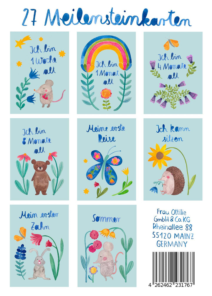 Meilensteinkarten *Baby*